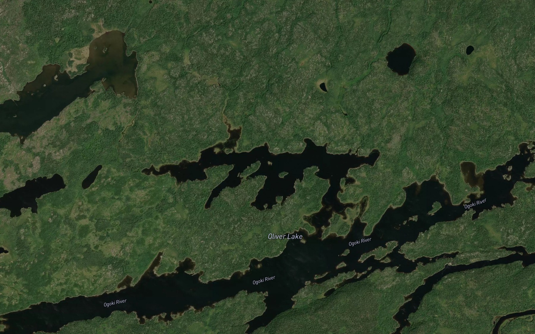 Satellite map of the Oliver Lake