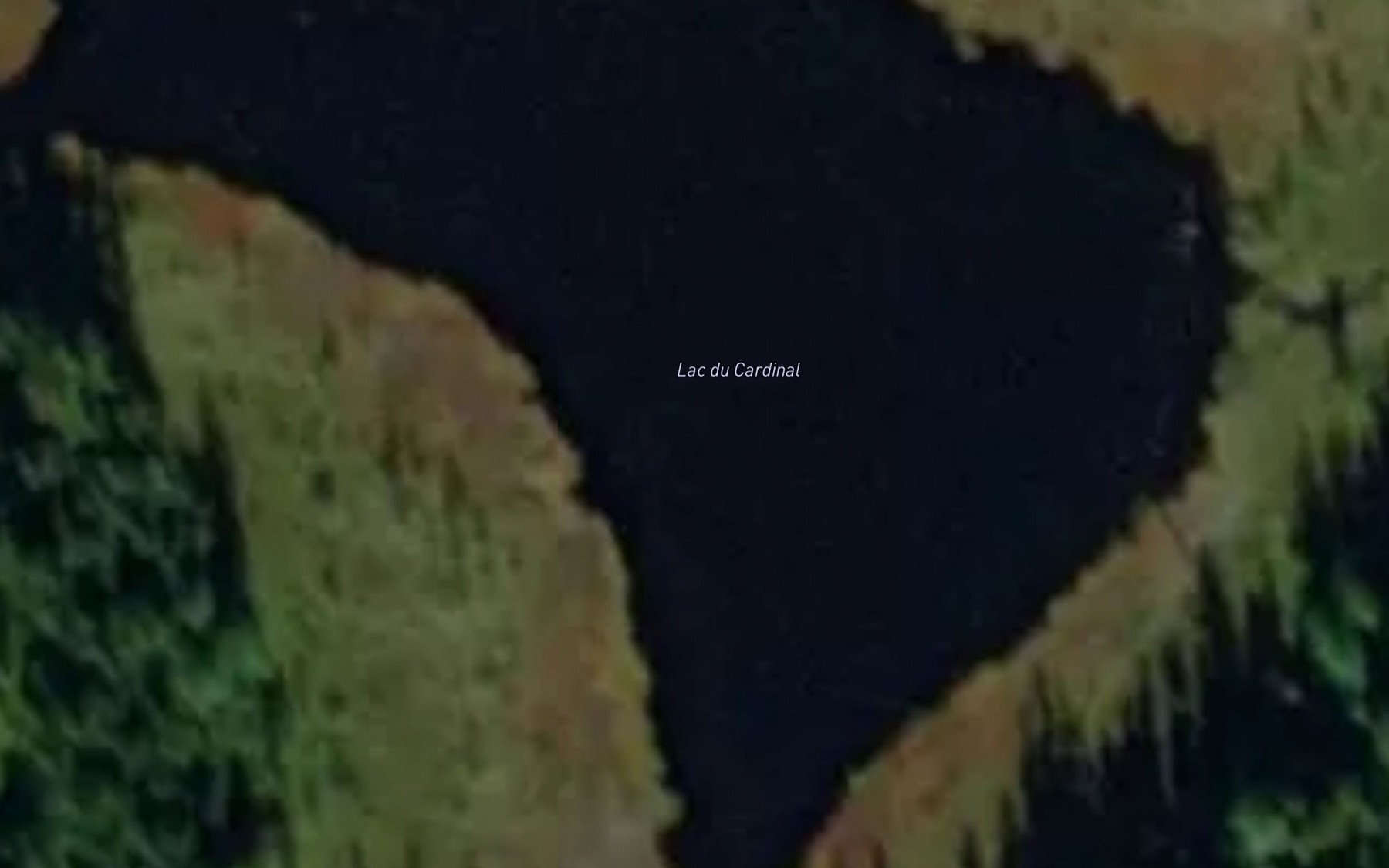 Satellite map of the Lac du Cardinal