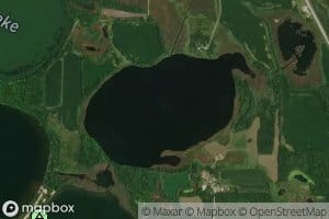 Redick Swamp