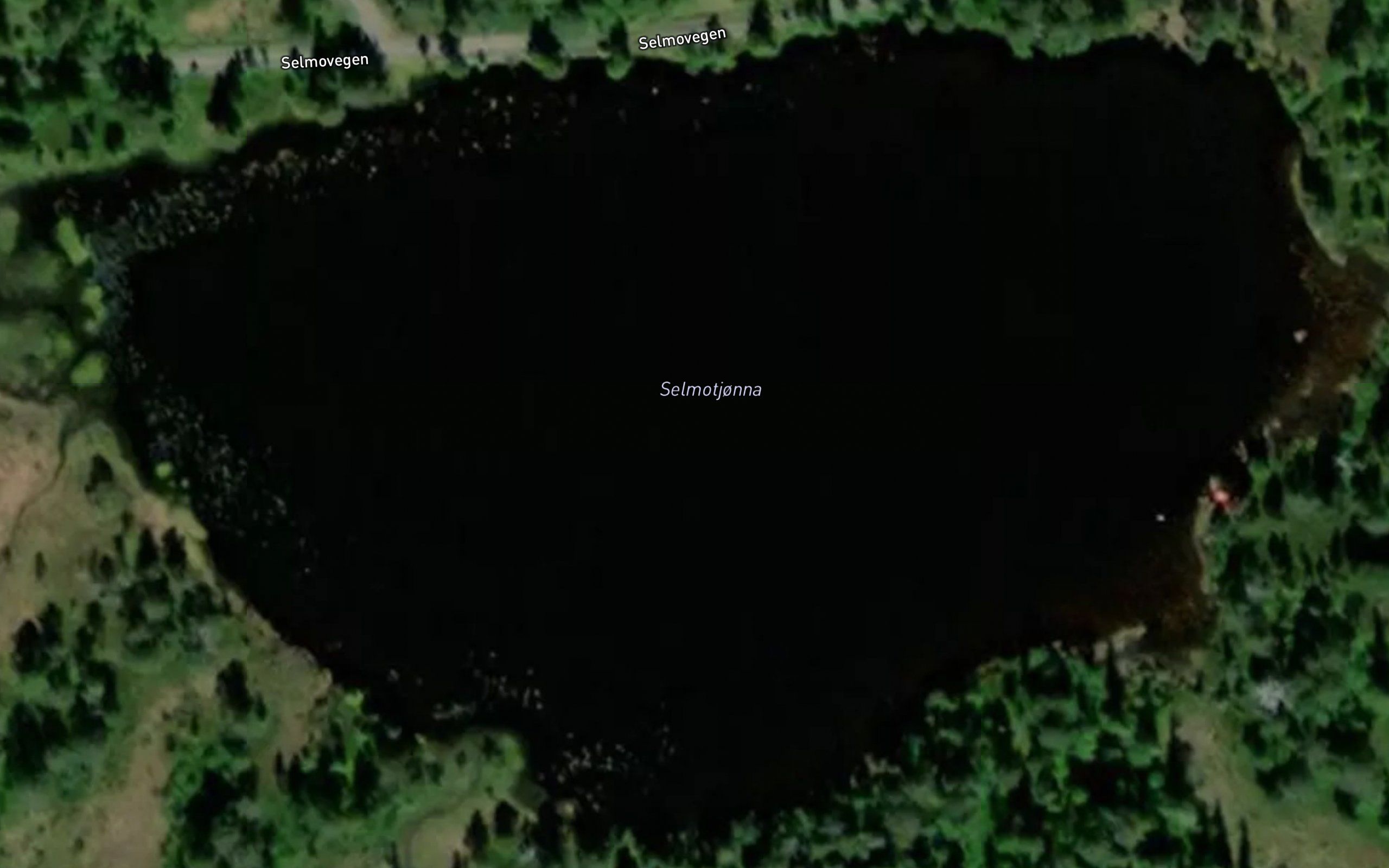 Selmotjorna
