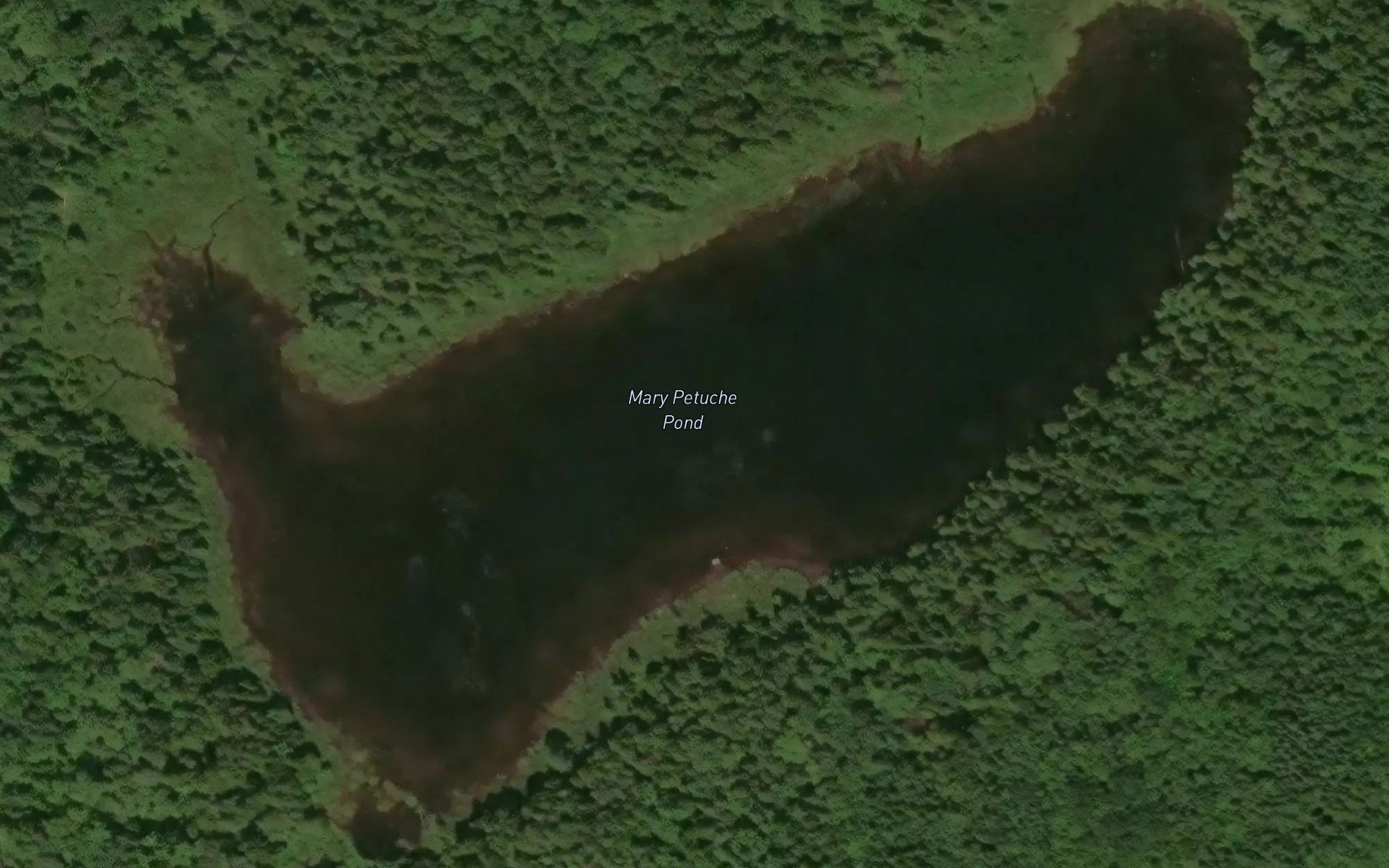 Satellite map of the Mary Petuche Pond