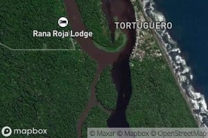 Rio Tortuguero