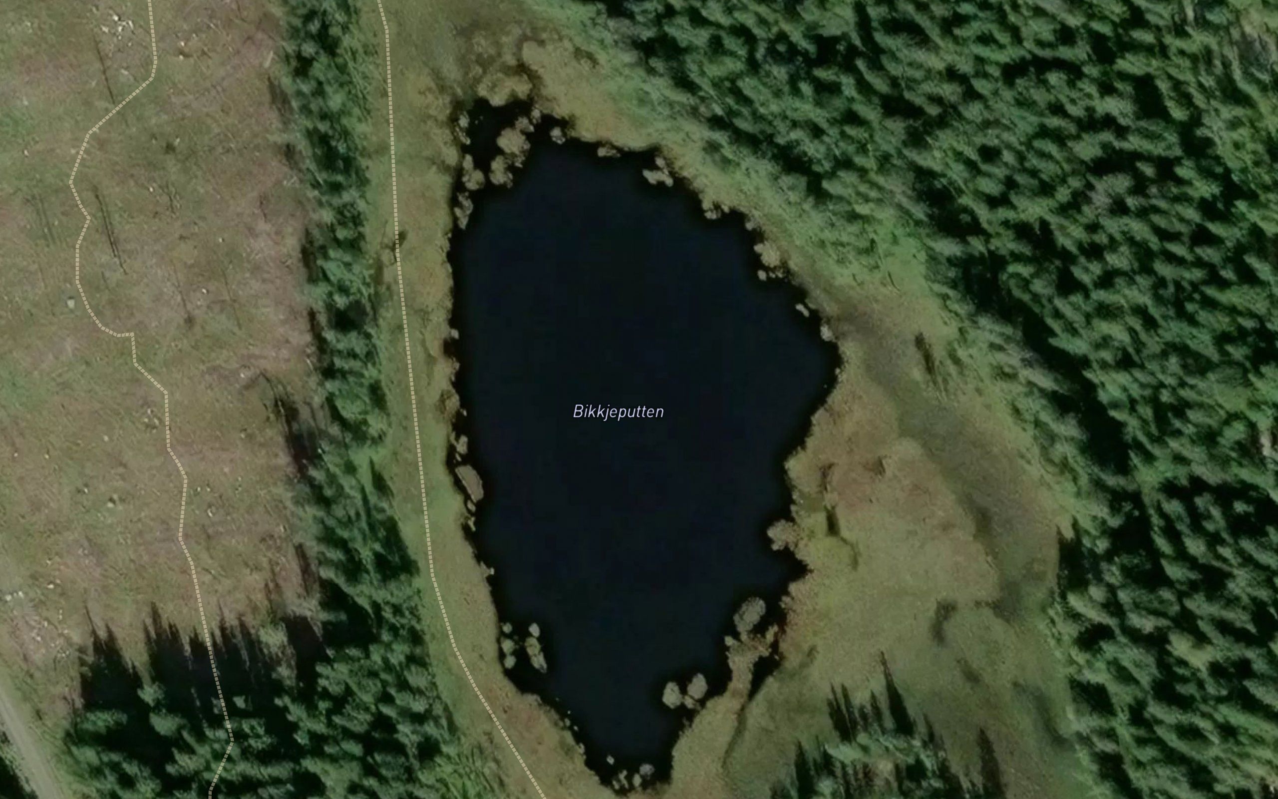 Bikkjeputten
