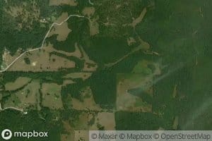 South Fork Black Valley Creek