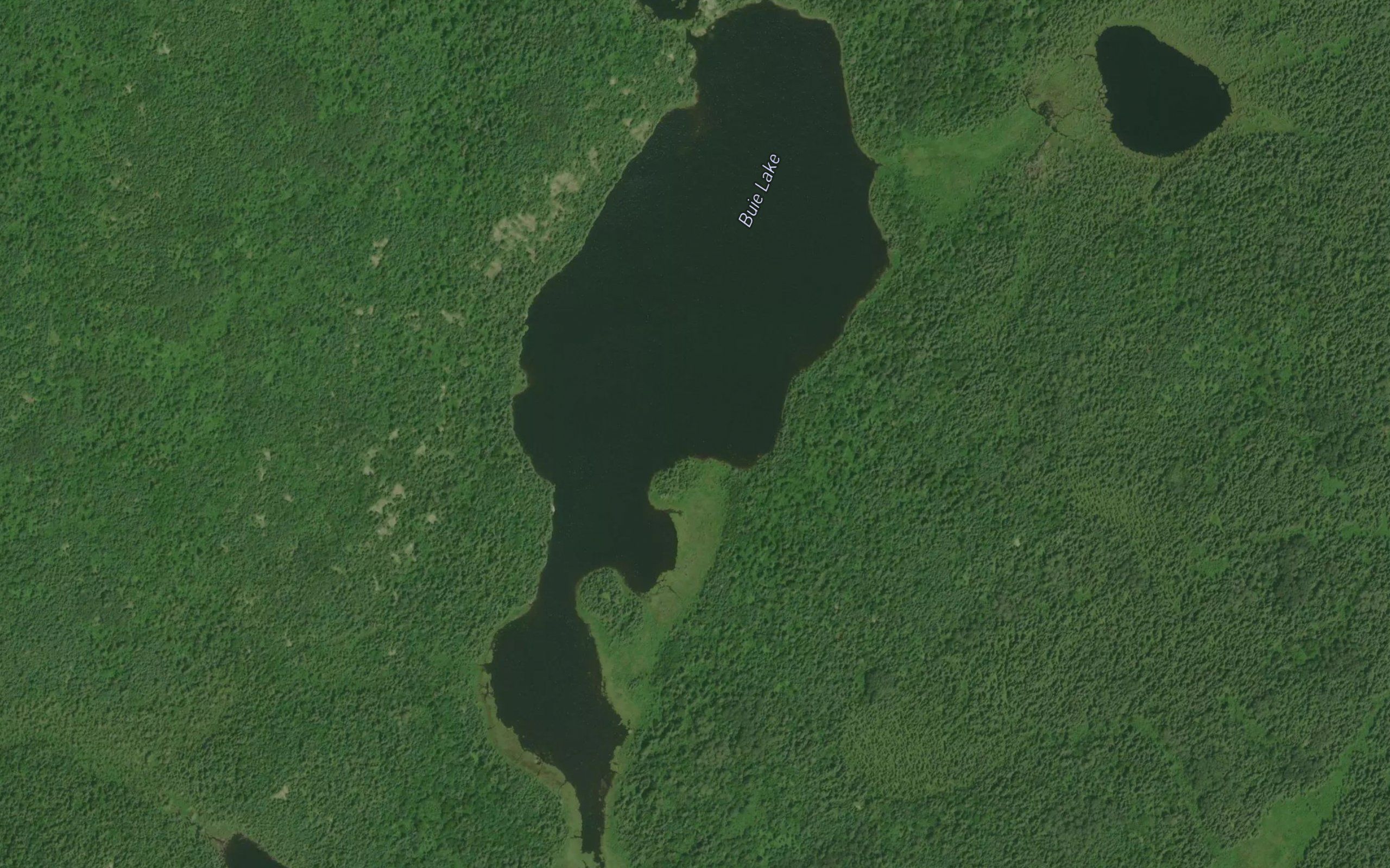 Buie Lake