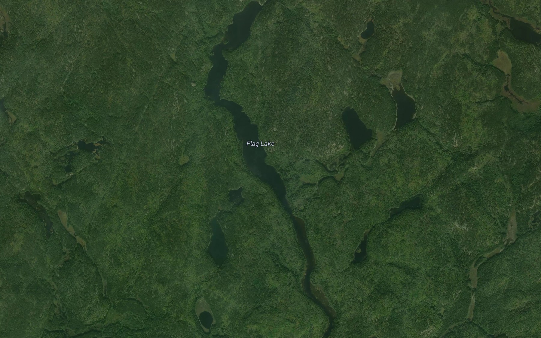 Satellite map of the Flag Lake
