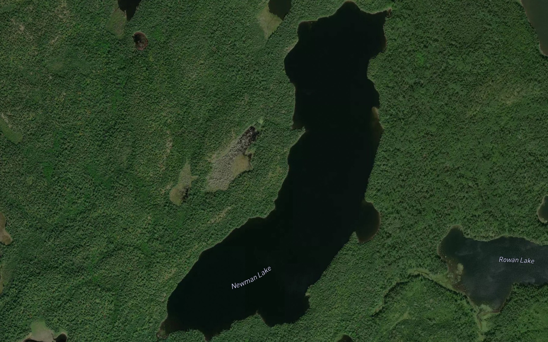 Satellite map of the Newman Lake