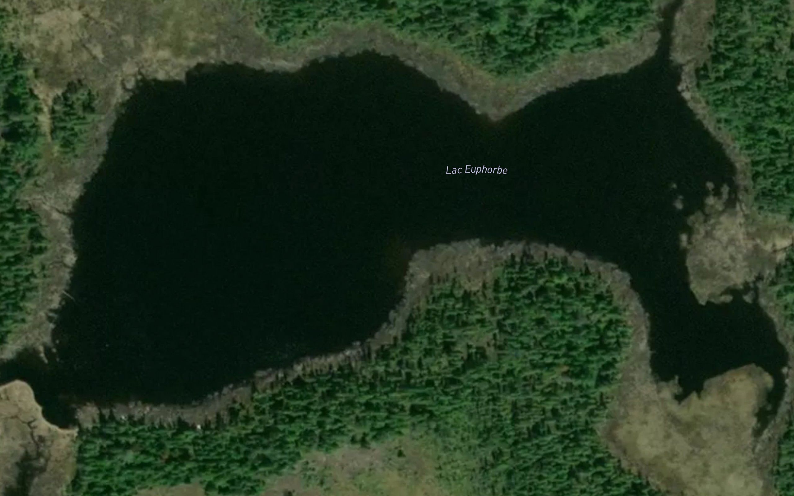 Lac Euphorbe
