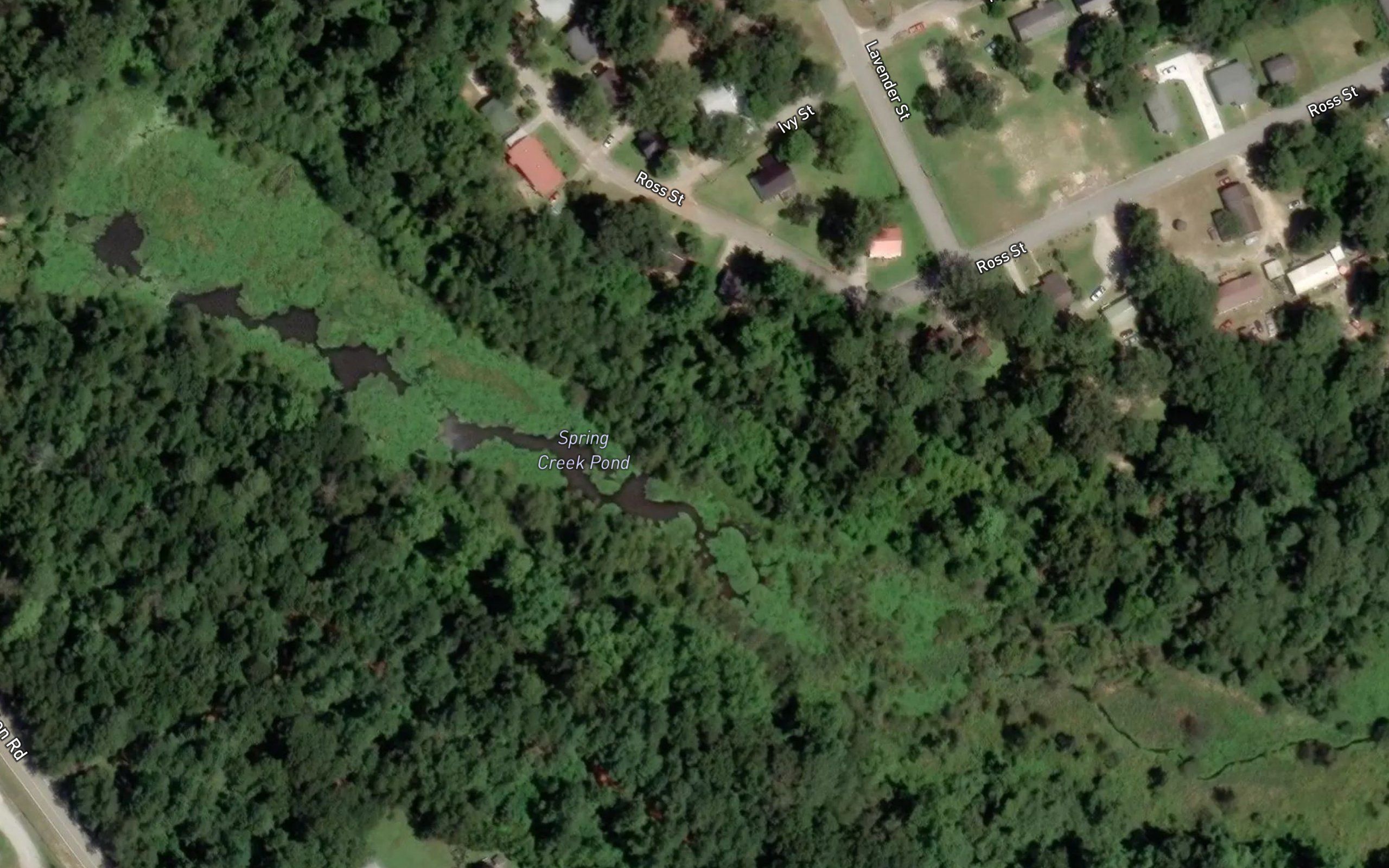 Spring Creek Pond