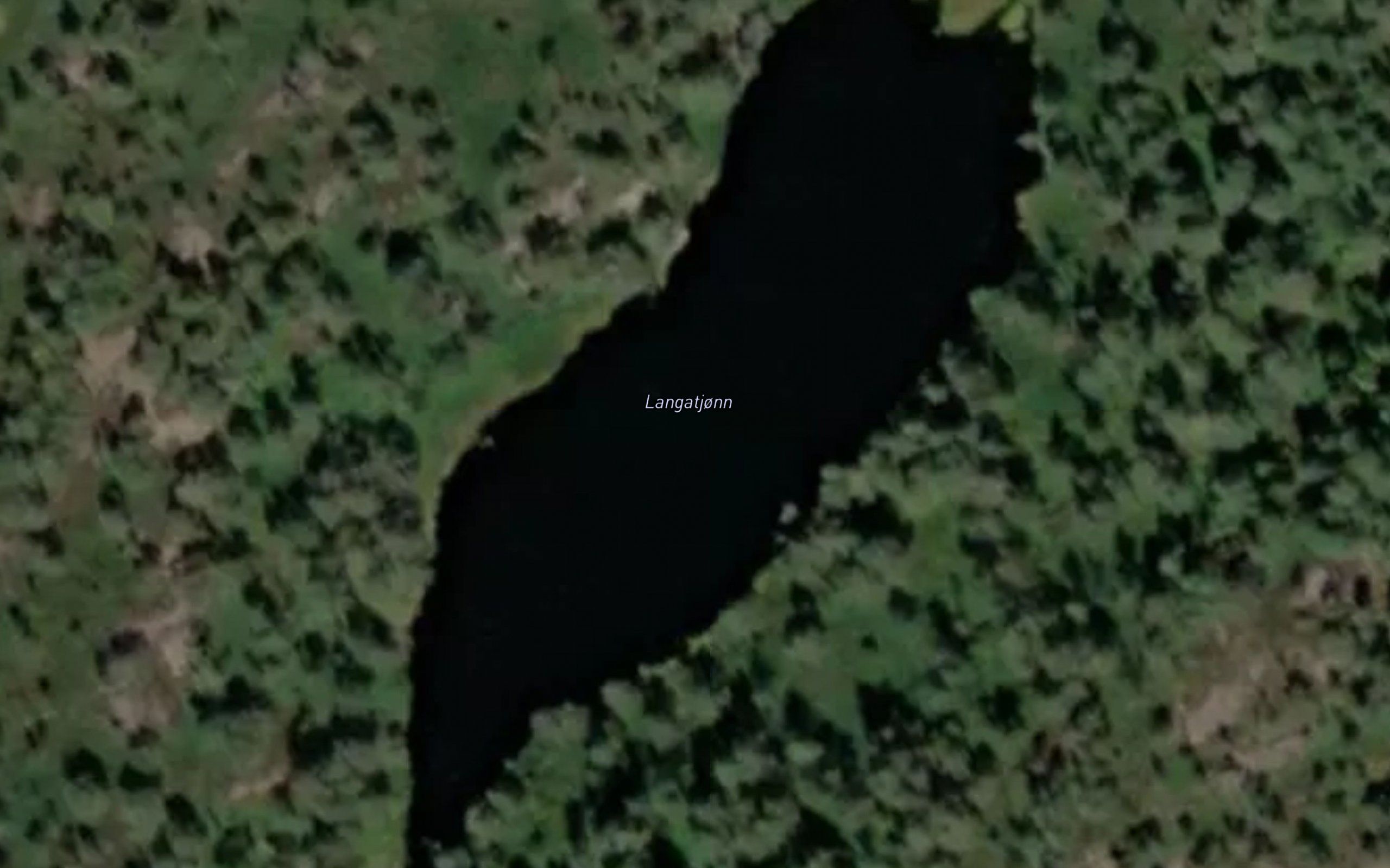 Langatjonn