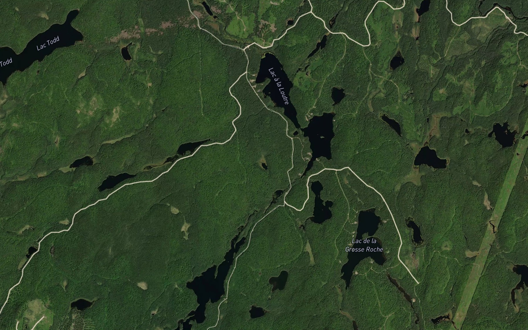 Satellite map of the Lac aux Termites