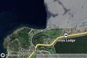 Tauranga Taupo River