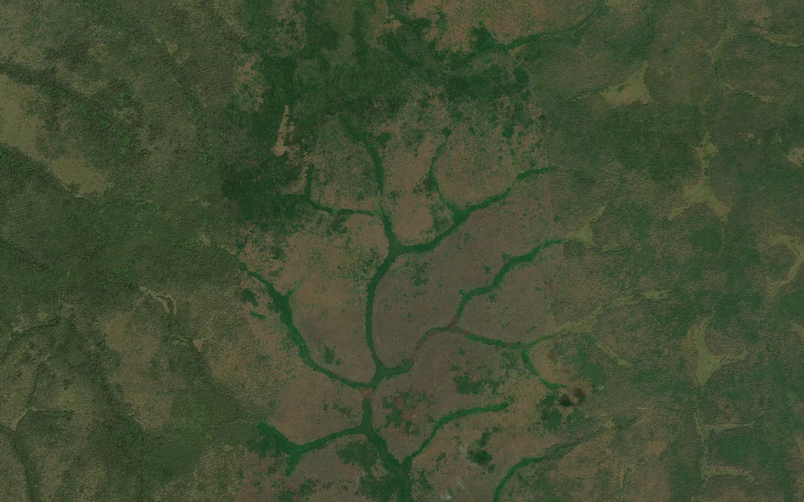 Nakpalakpuma