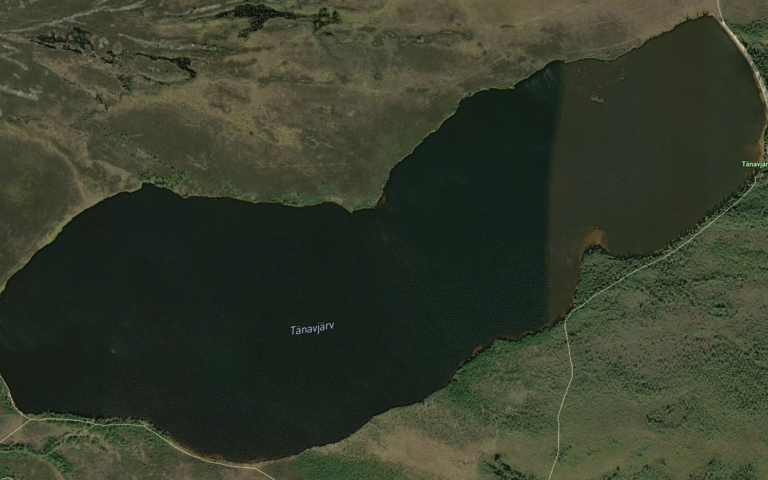 Tanavjarv