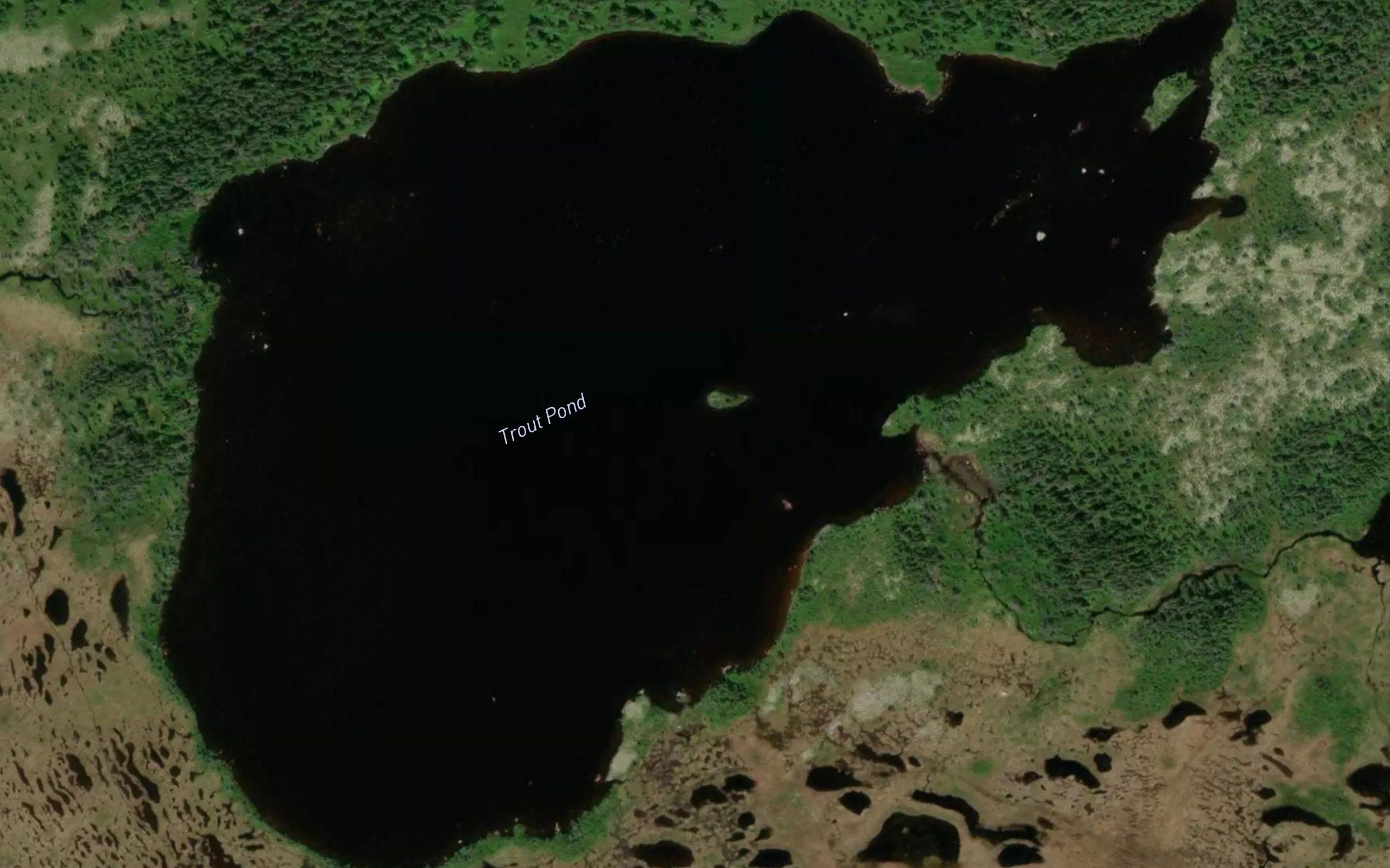 Trout Pond