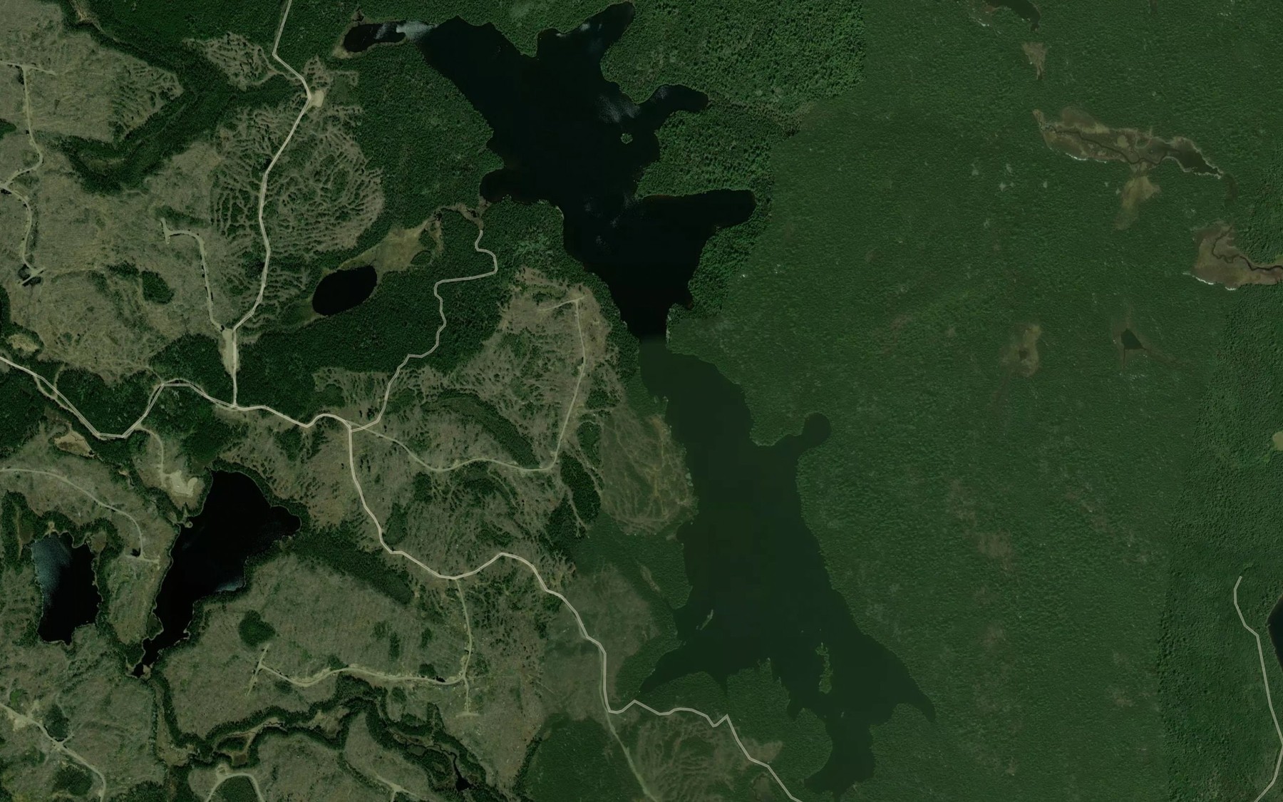 Satellite map of the Richardson Lake