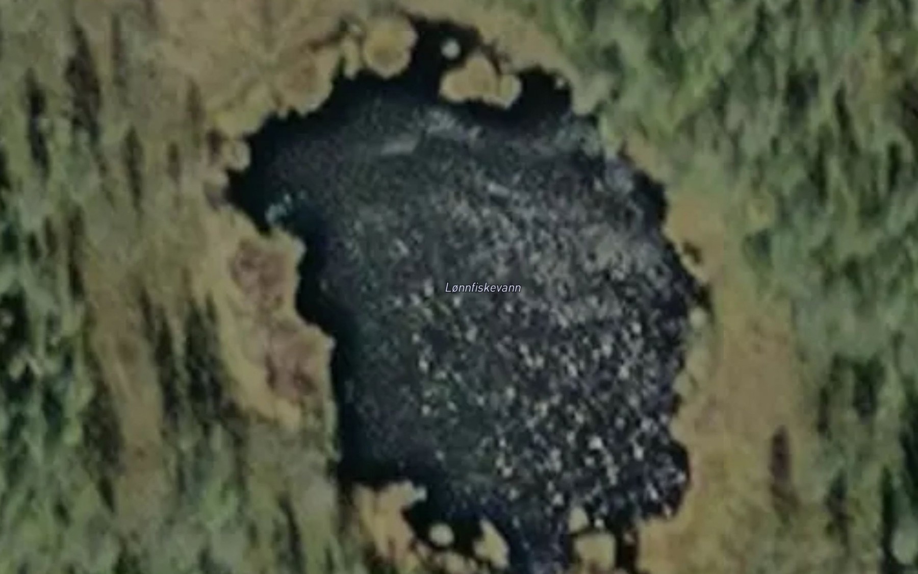 Satellite map of the Lonnfiskevann