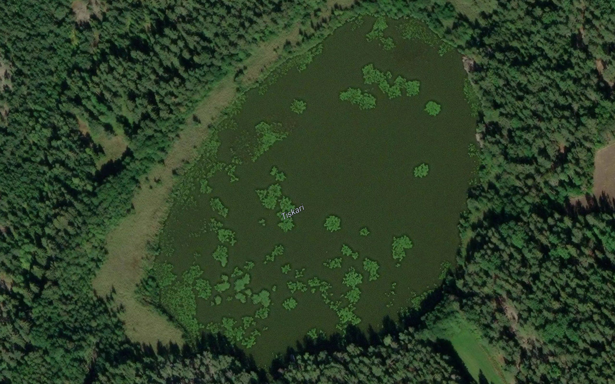 Tiskari