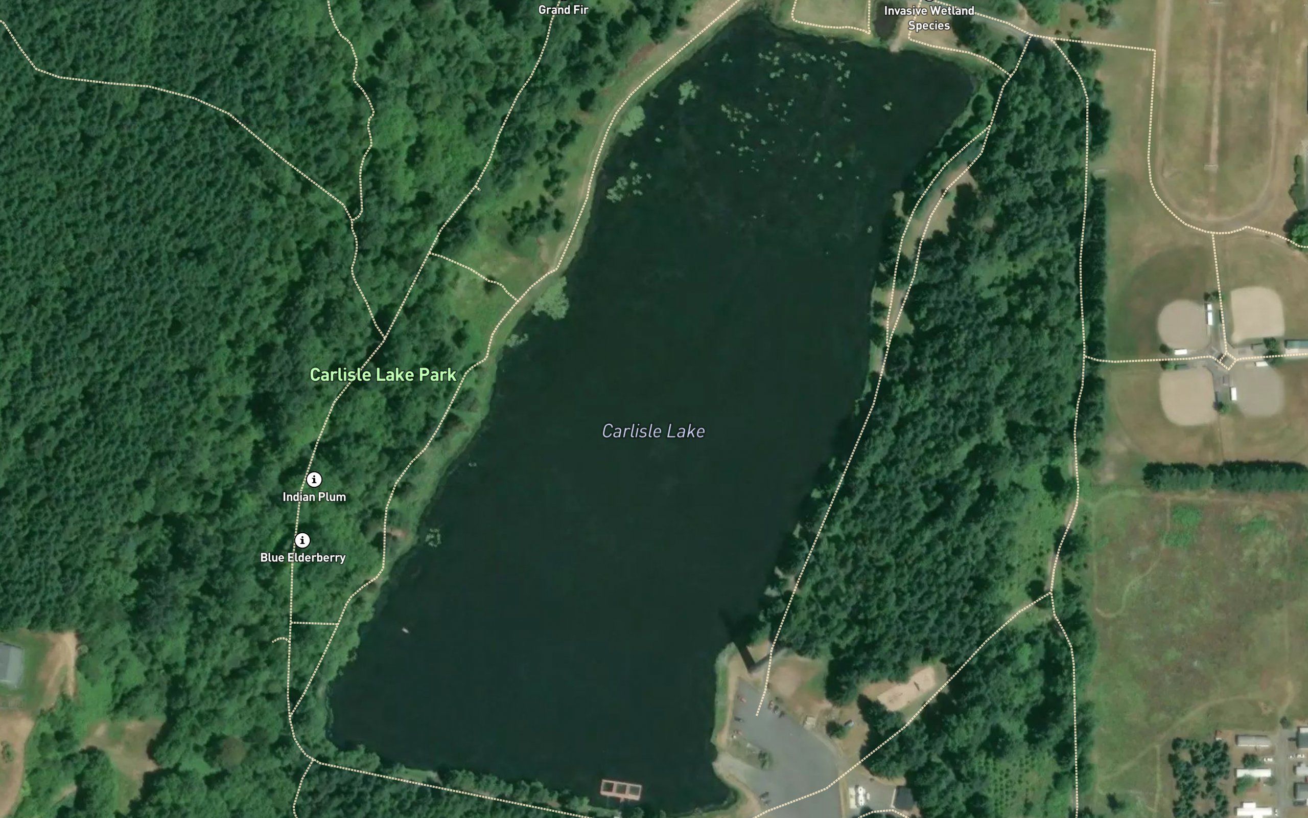 Carlisle Lake