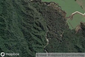 Waipuna Creek Middle Branch