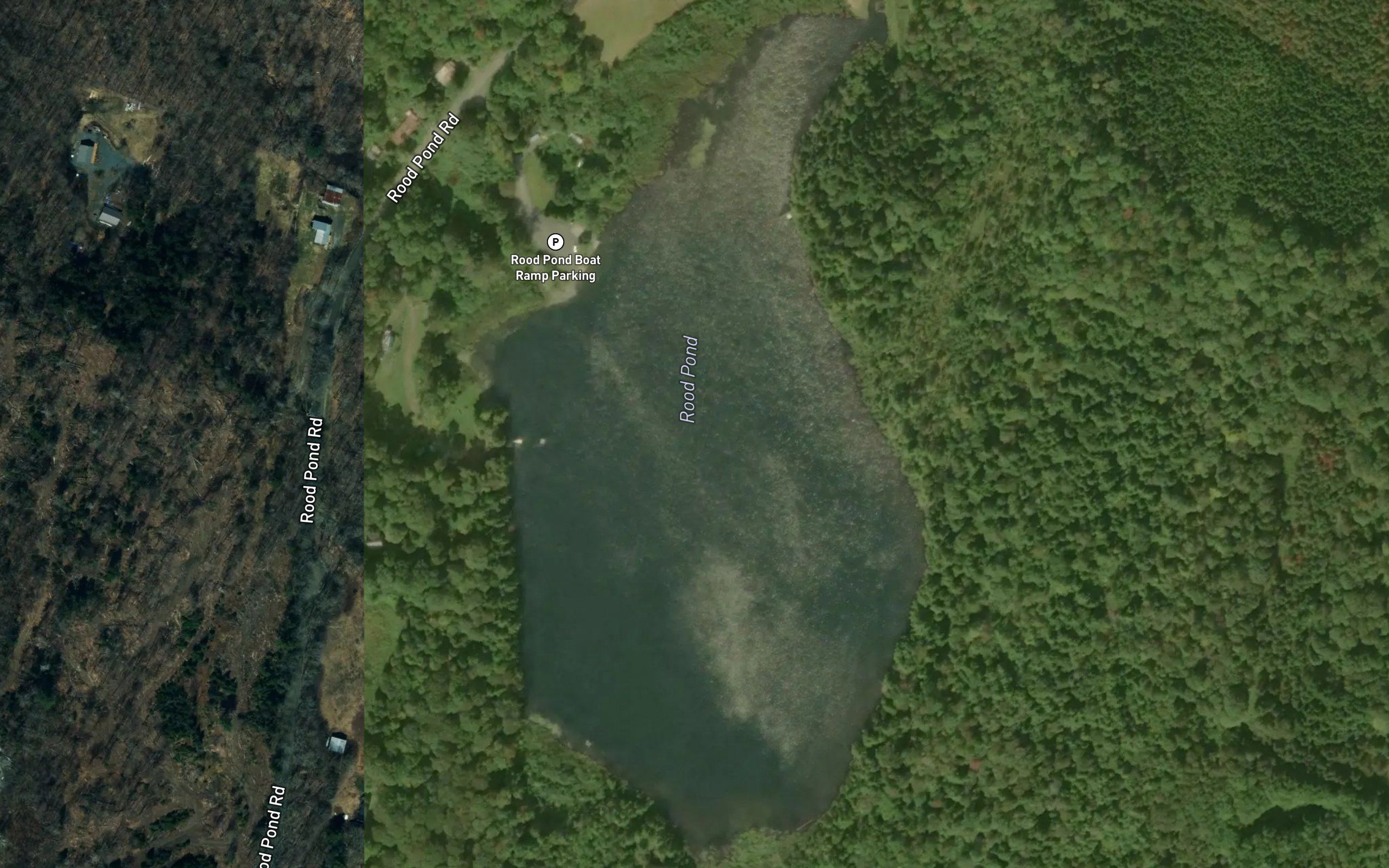 Rood Pond