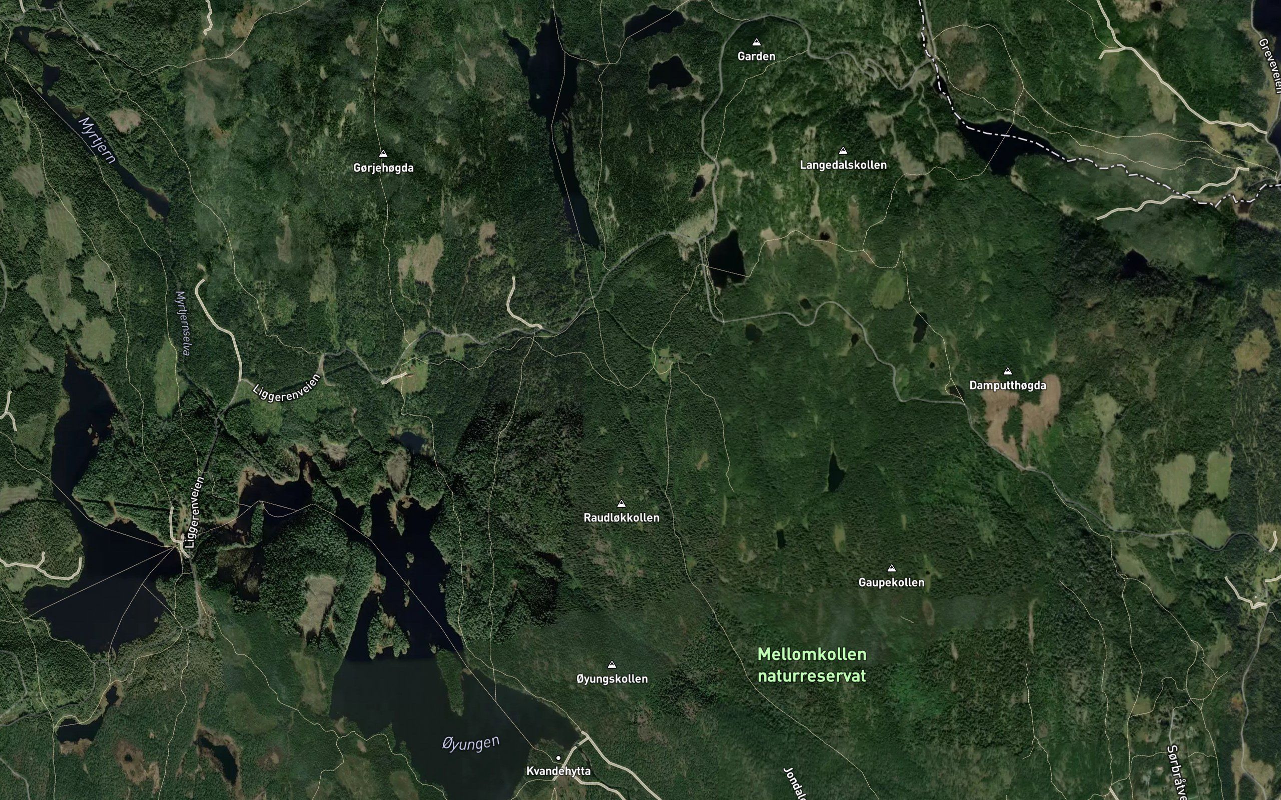 Tomtetjern