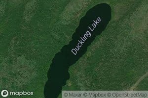 Duckling Lake