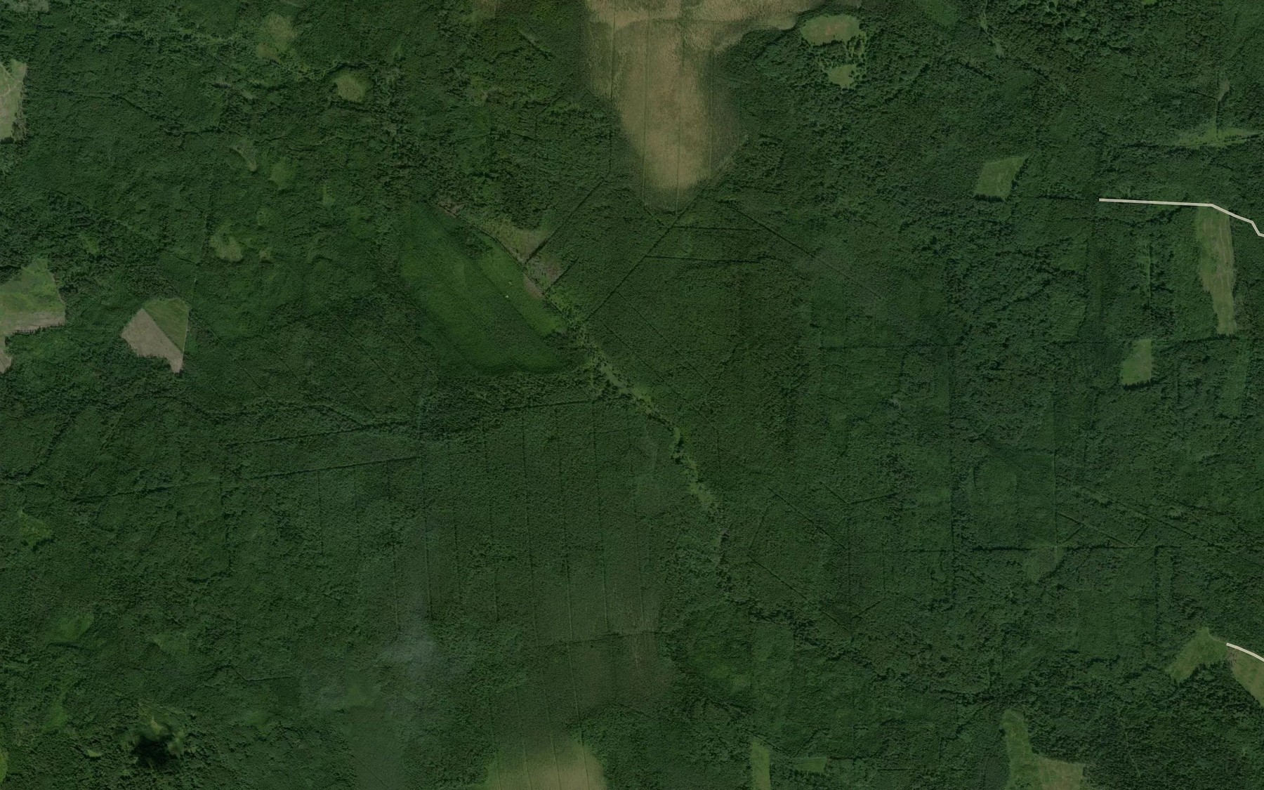 Satellite map of the Tarasov