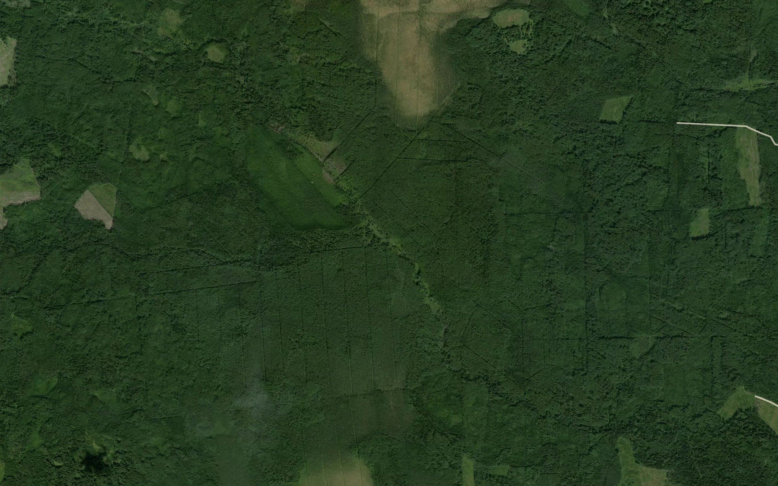 Tarasov