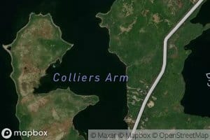 Colliers Arm