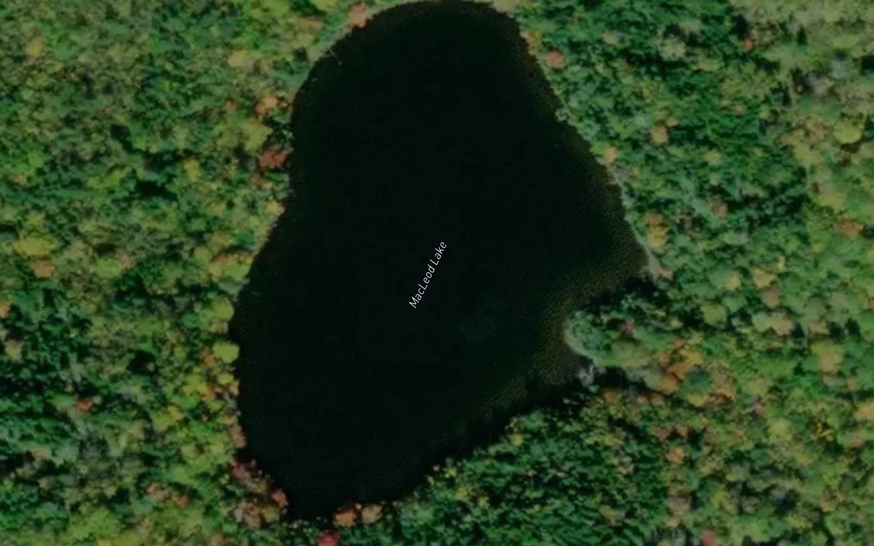 Satellite map of the MacLeod Lake