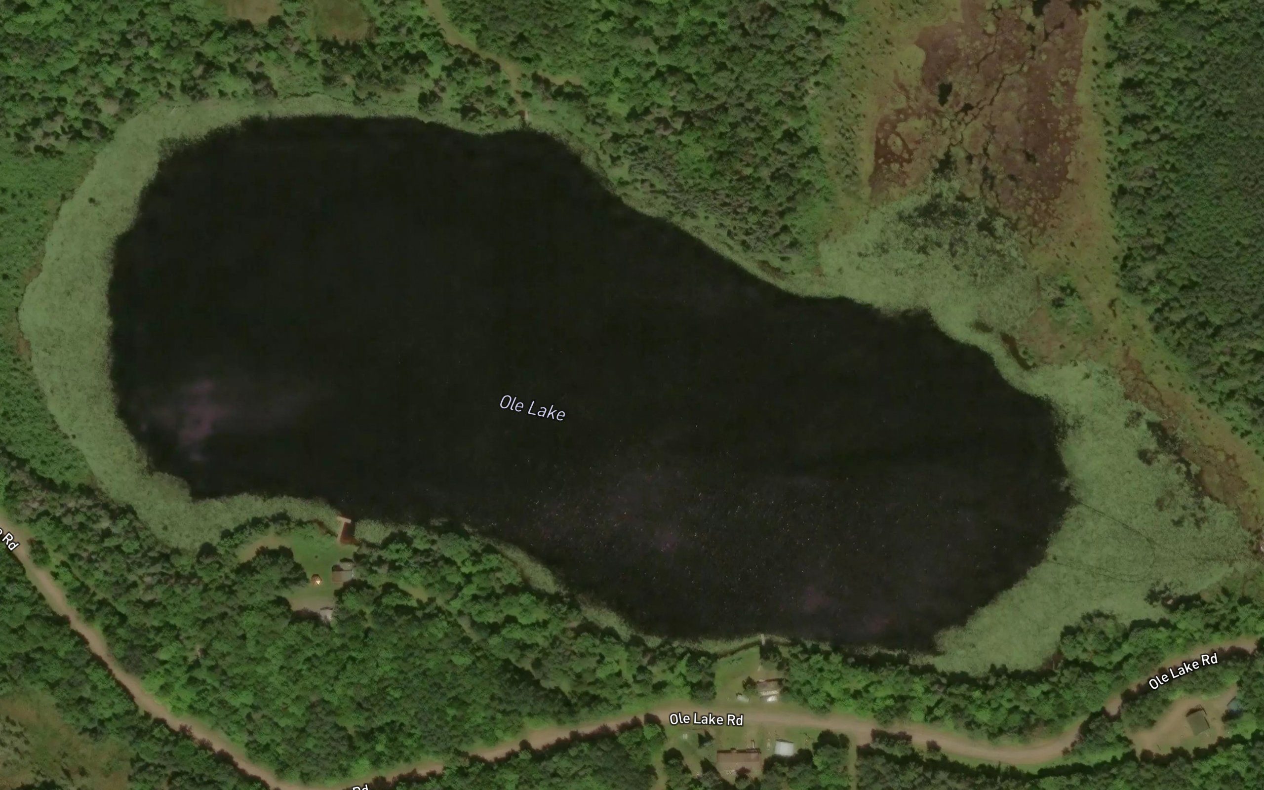 Ole Lake