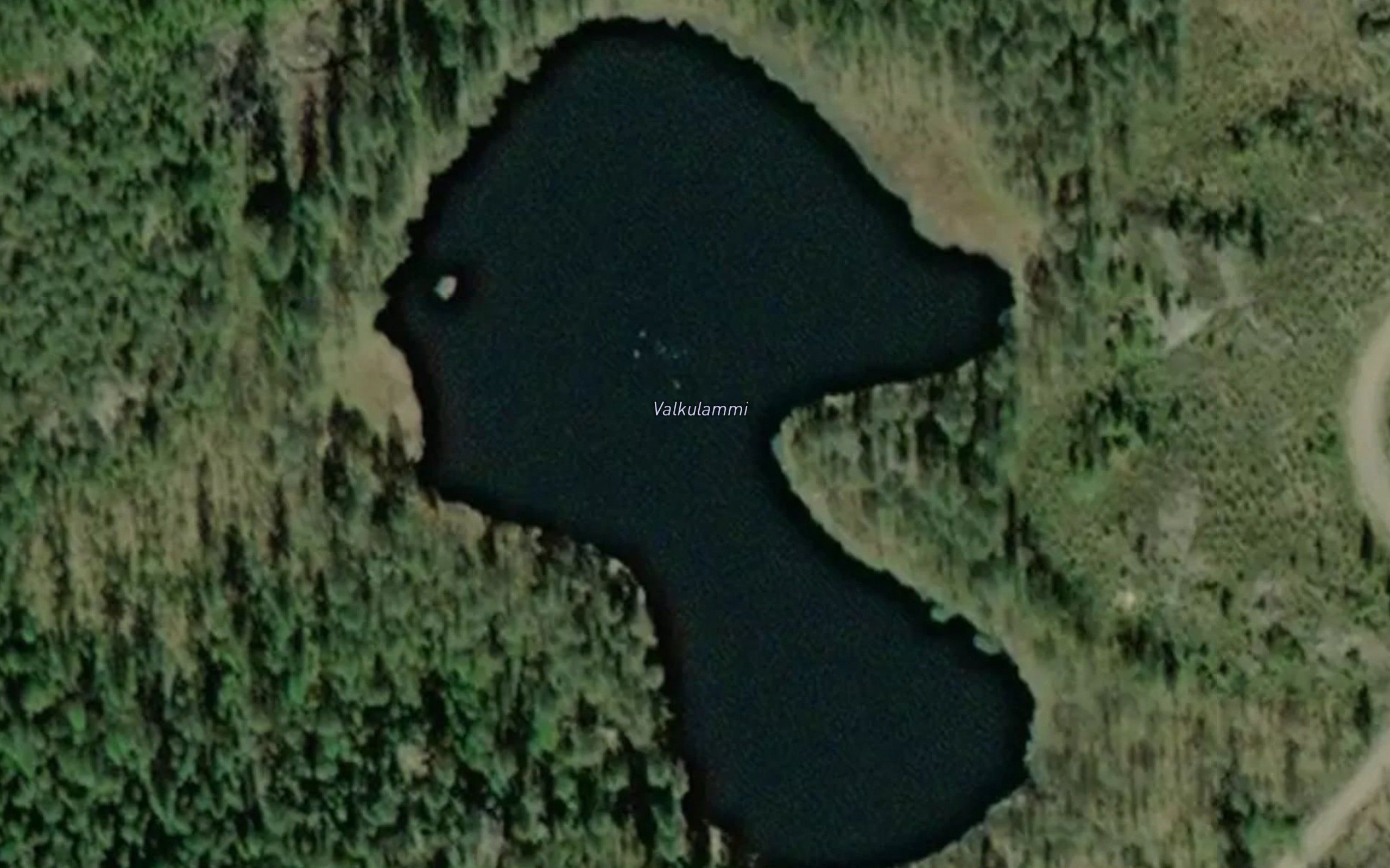 Valkulammi