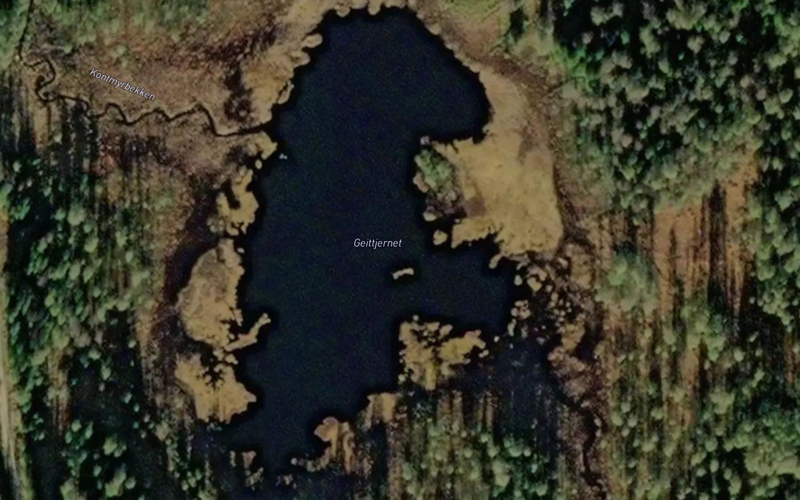Geittjernet