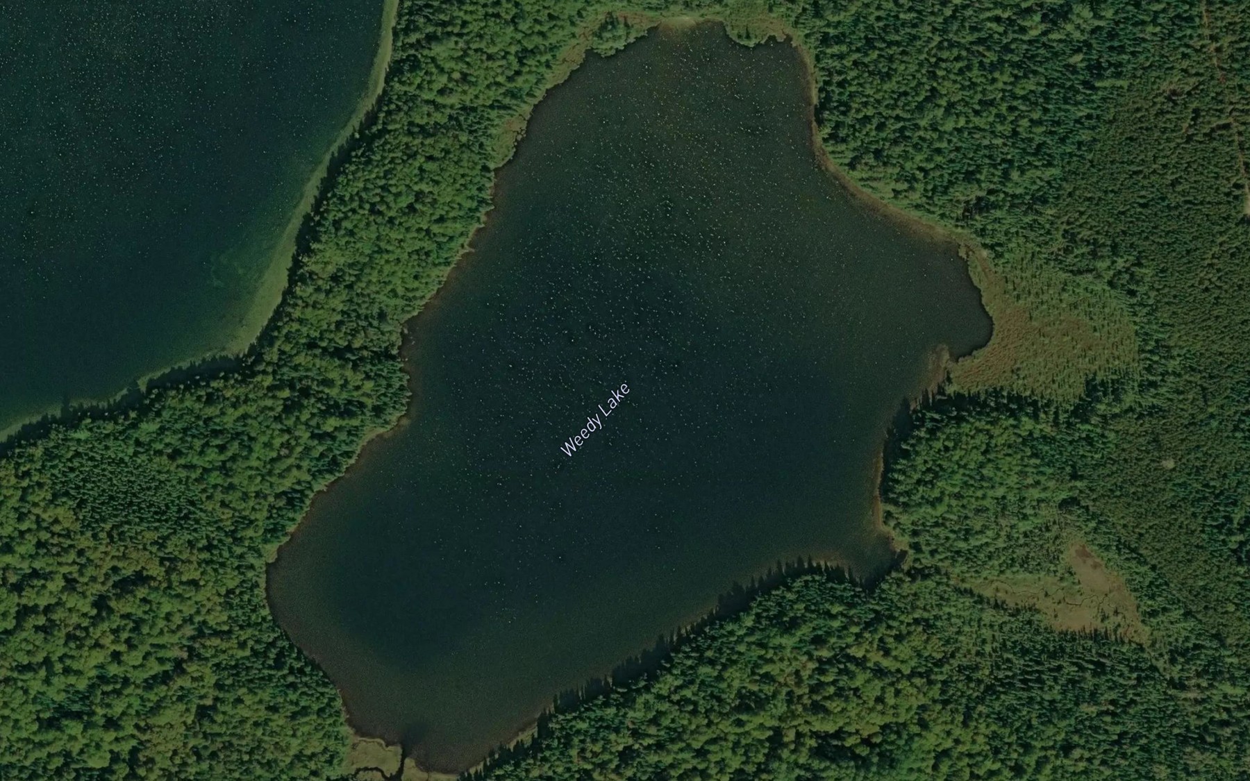 Satellite map of the Weedy Lake