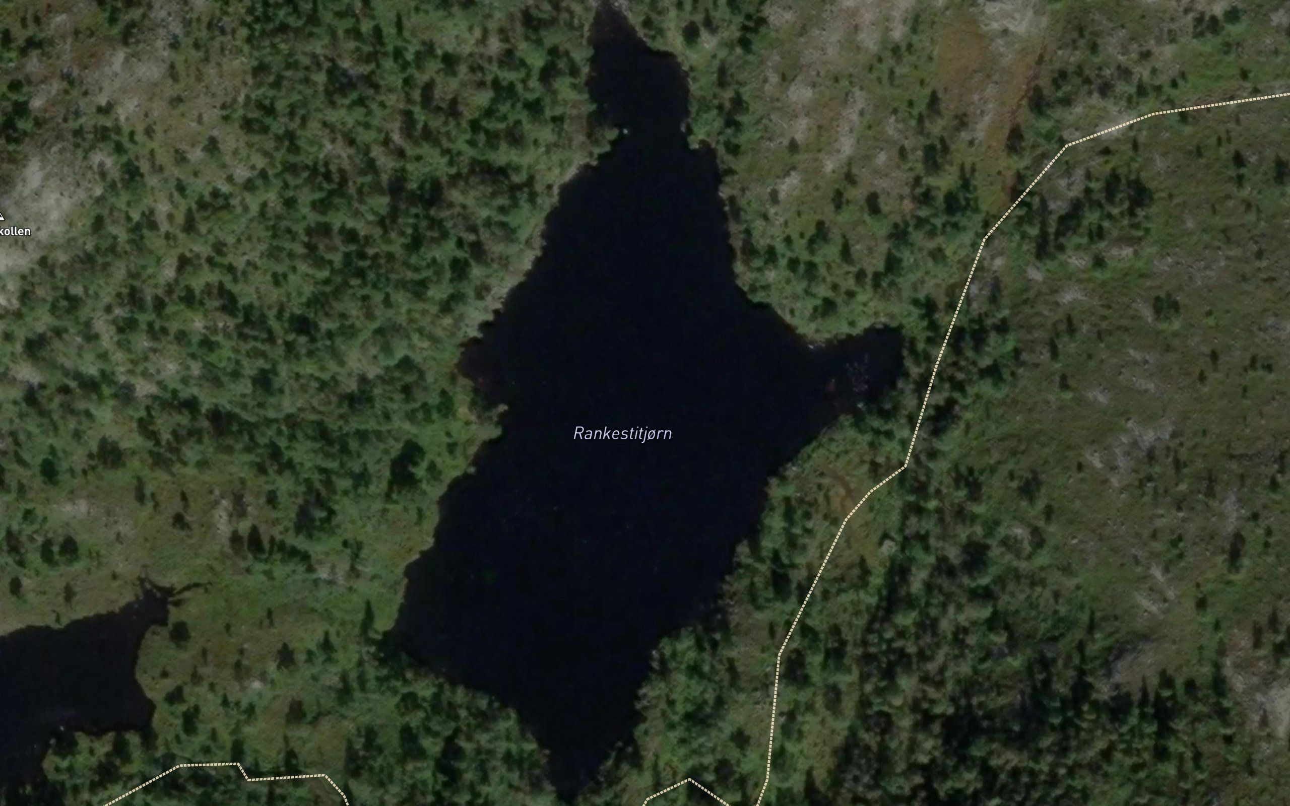 Rankestitjorn