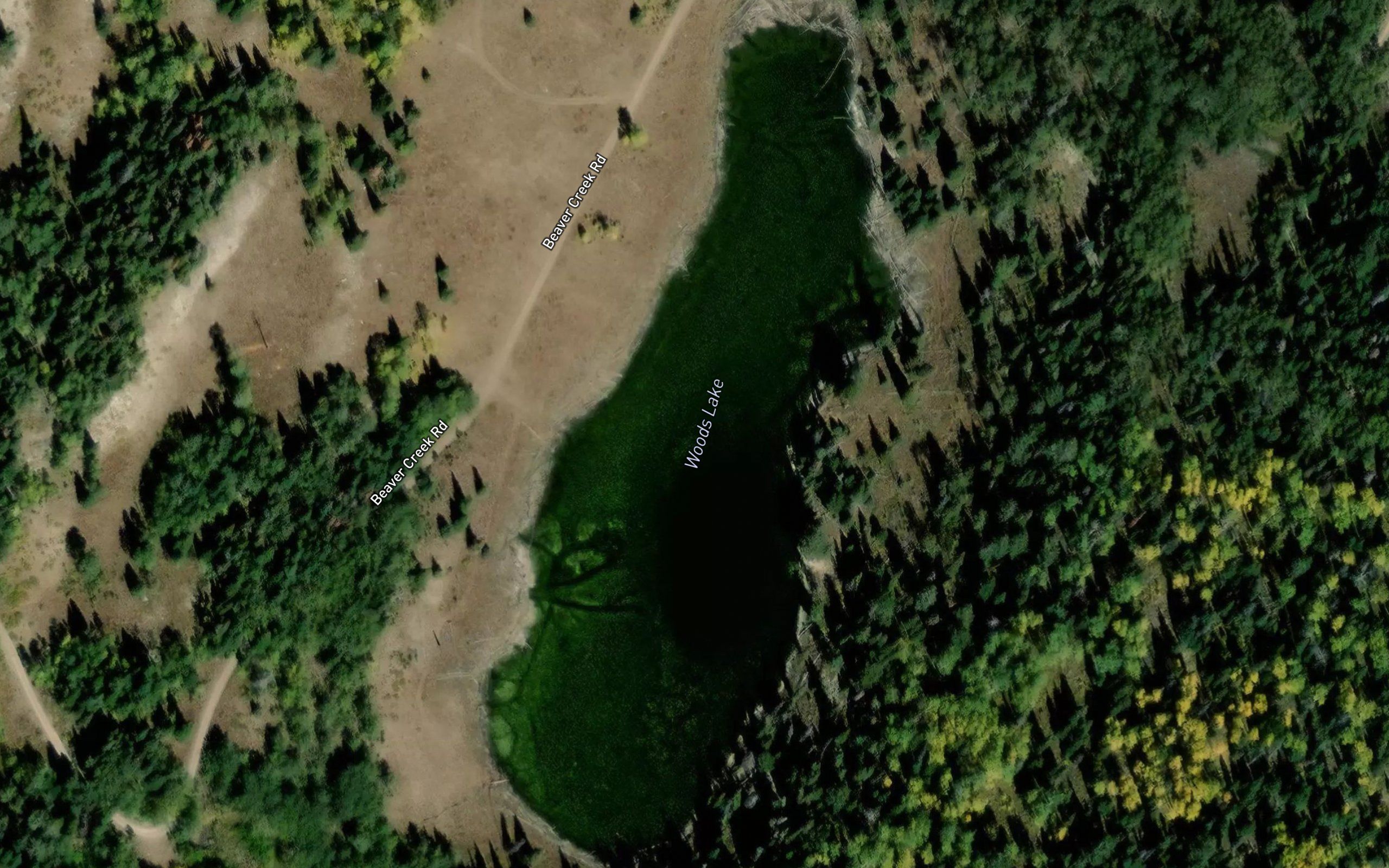 Woods Lake