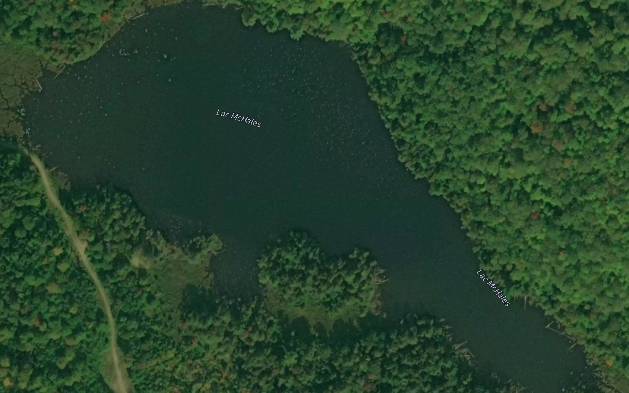 Lac McHales