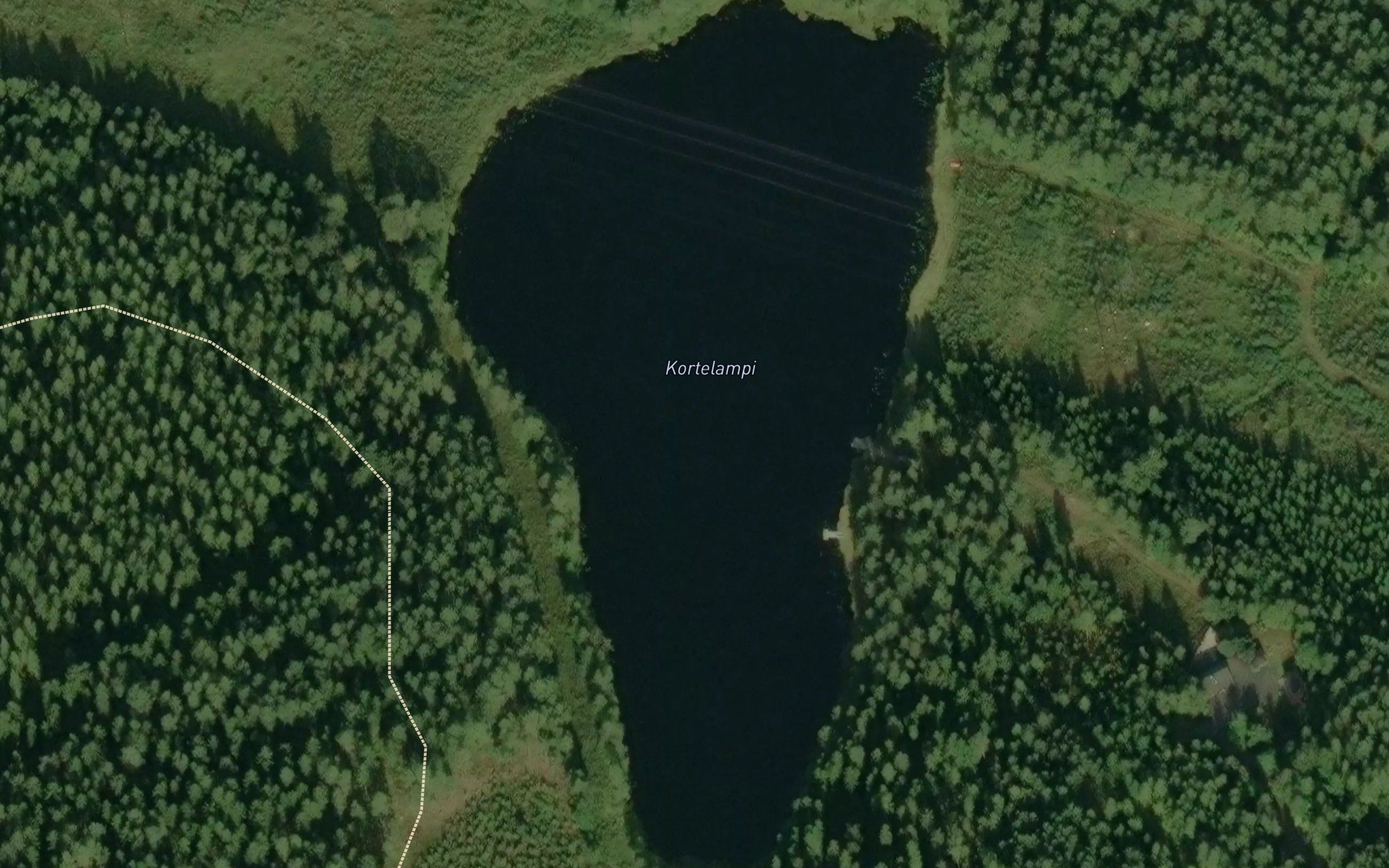 Kortelampi