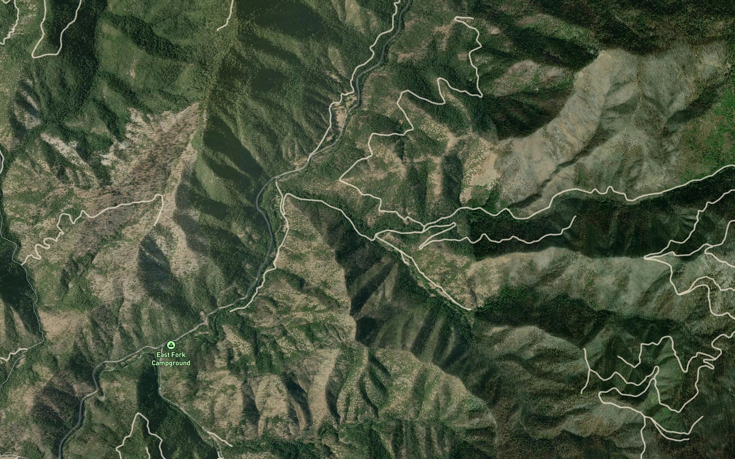 South Fork Taylor Creek