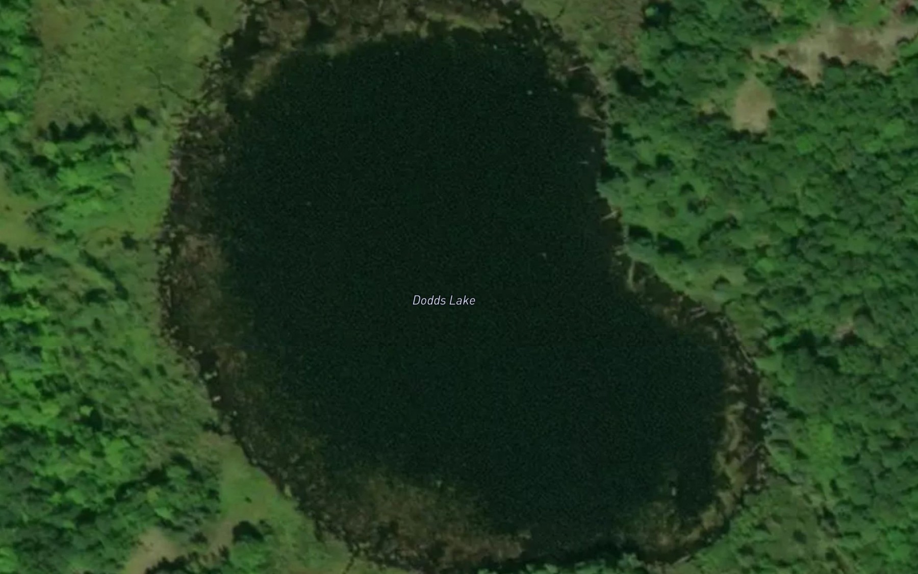Satellite map of the Dodds Lake
