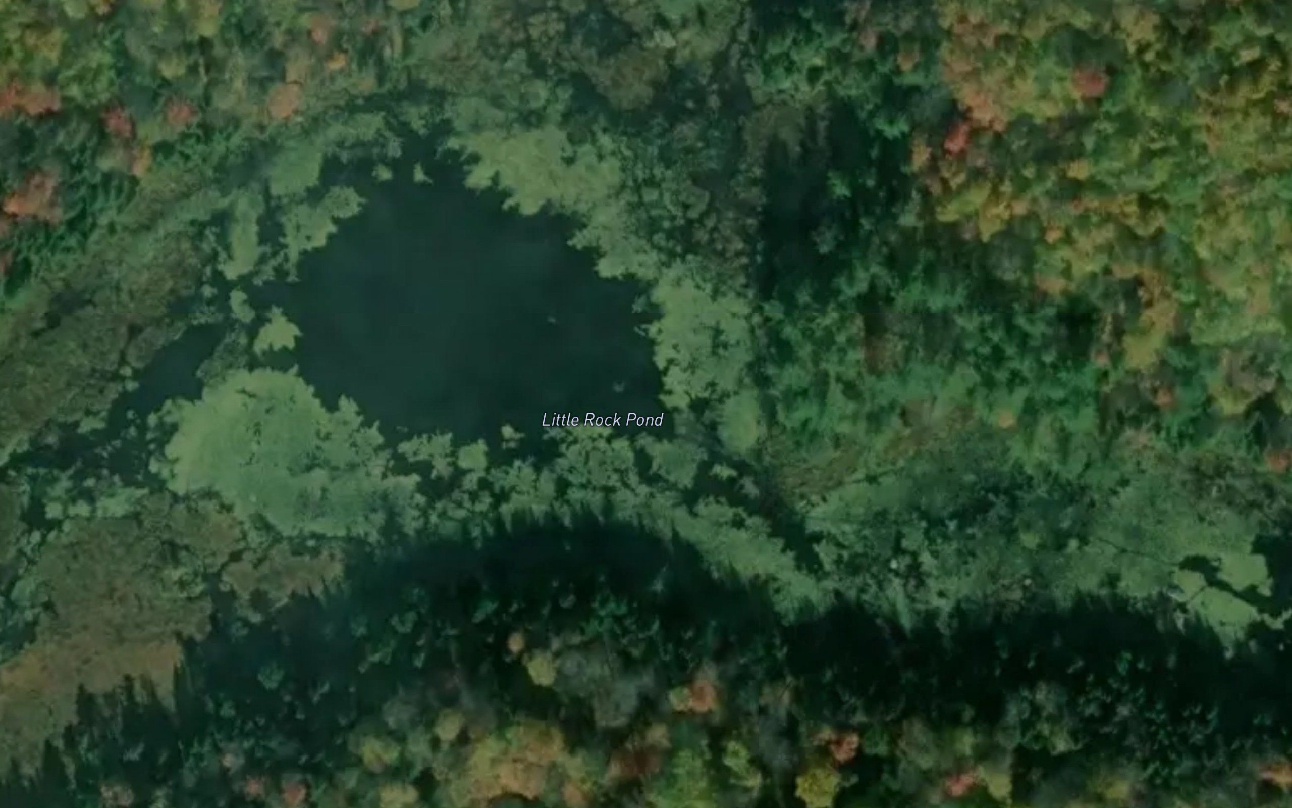 Little Rock Pond