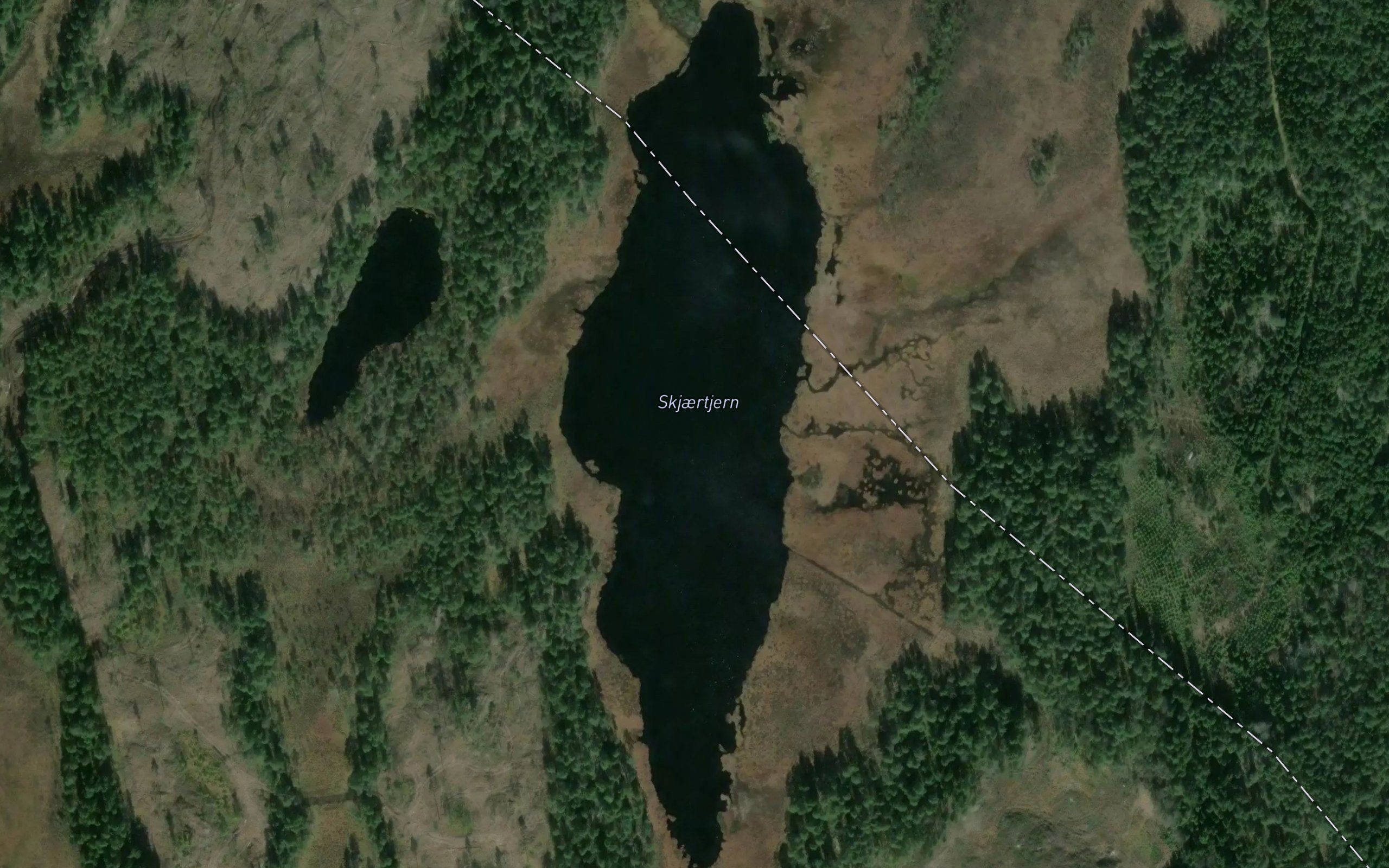 Skjaertjern