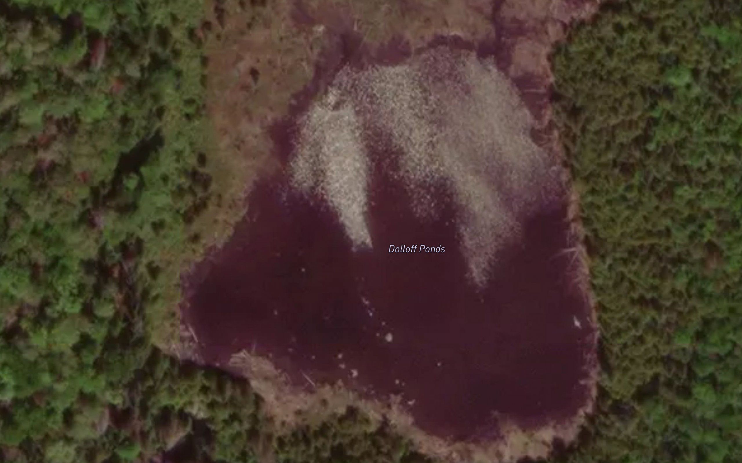 Dolloff Ponds