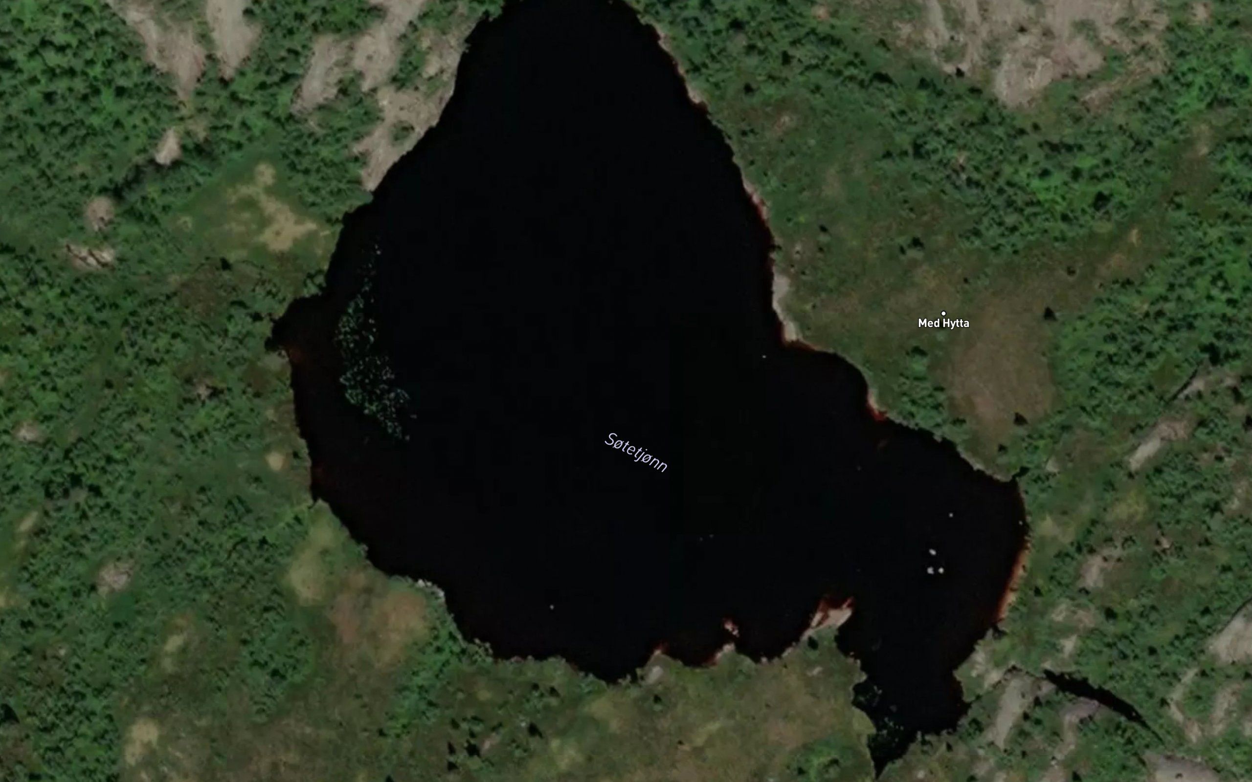 Sotetjorn