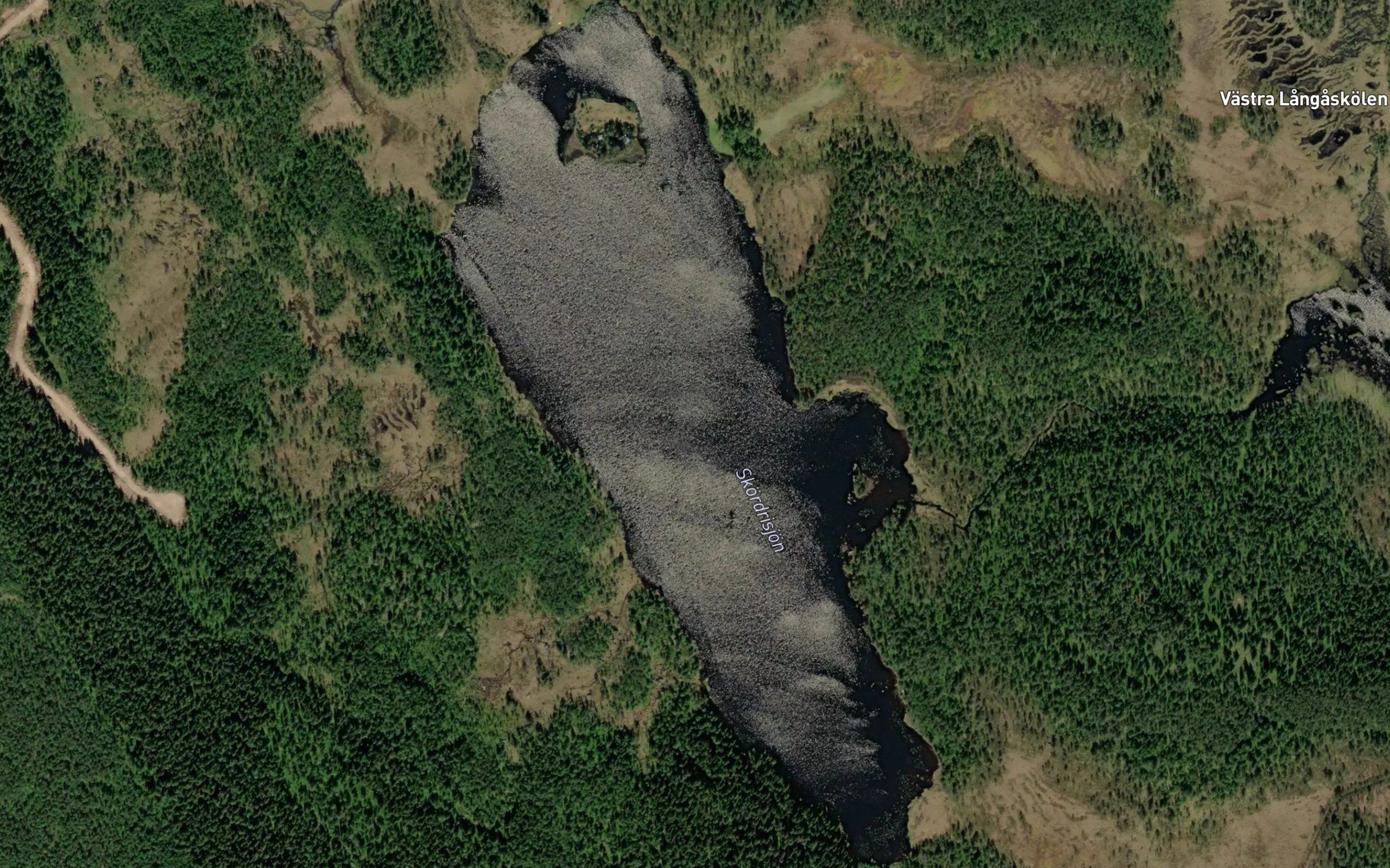 Sjorissjon