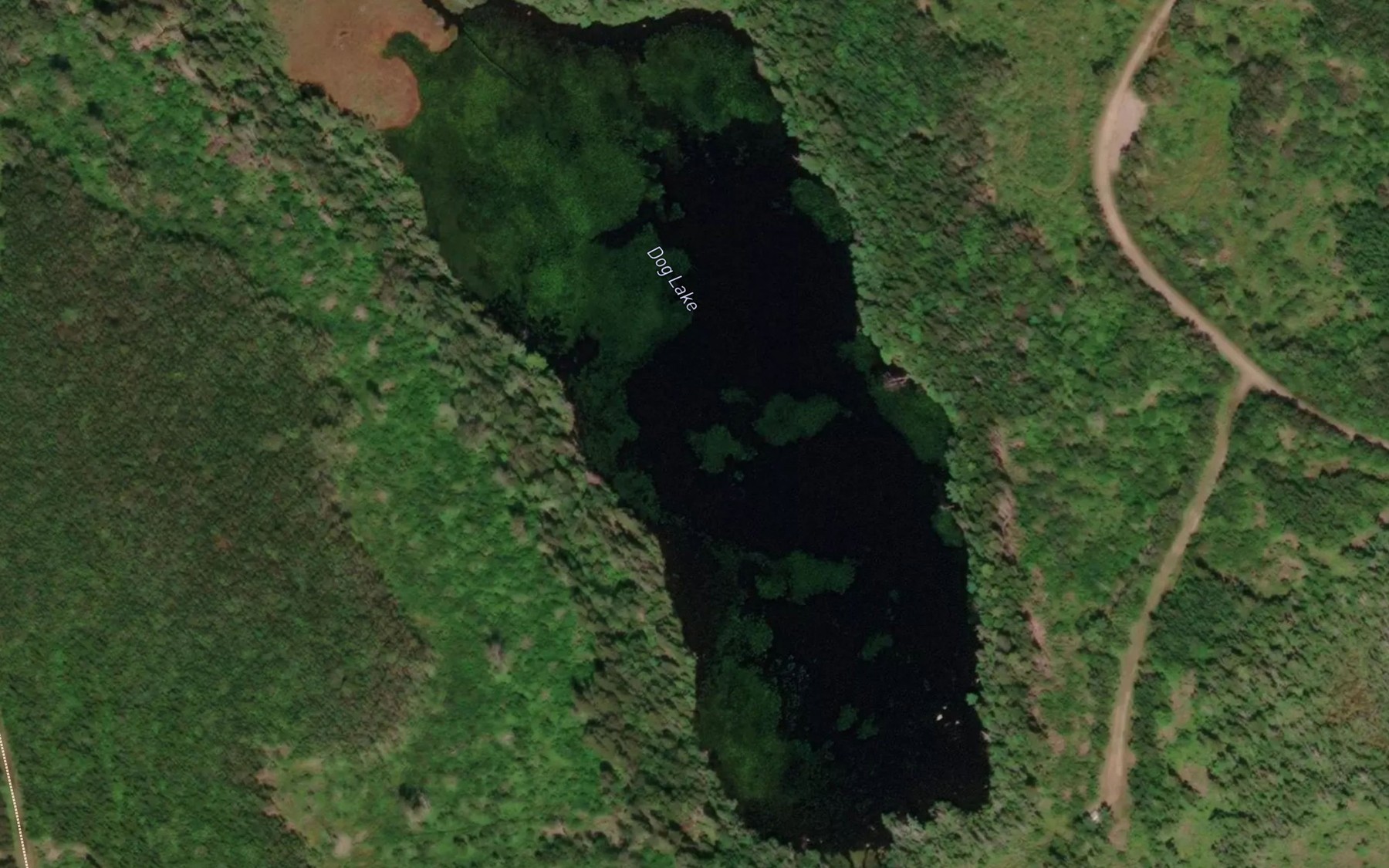 Satellite map of the Dog Lake