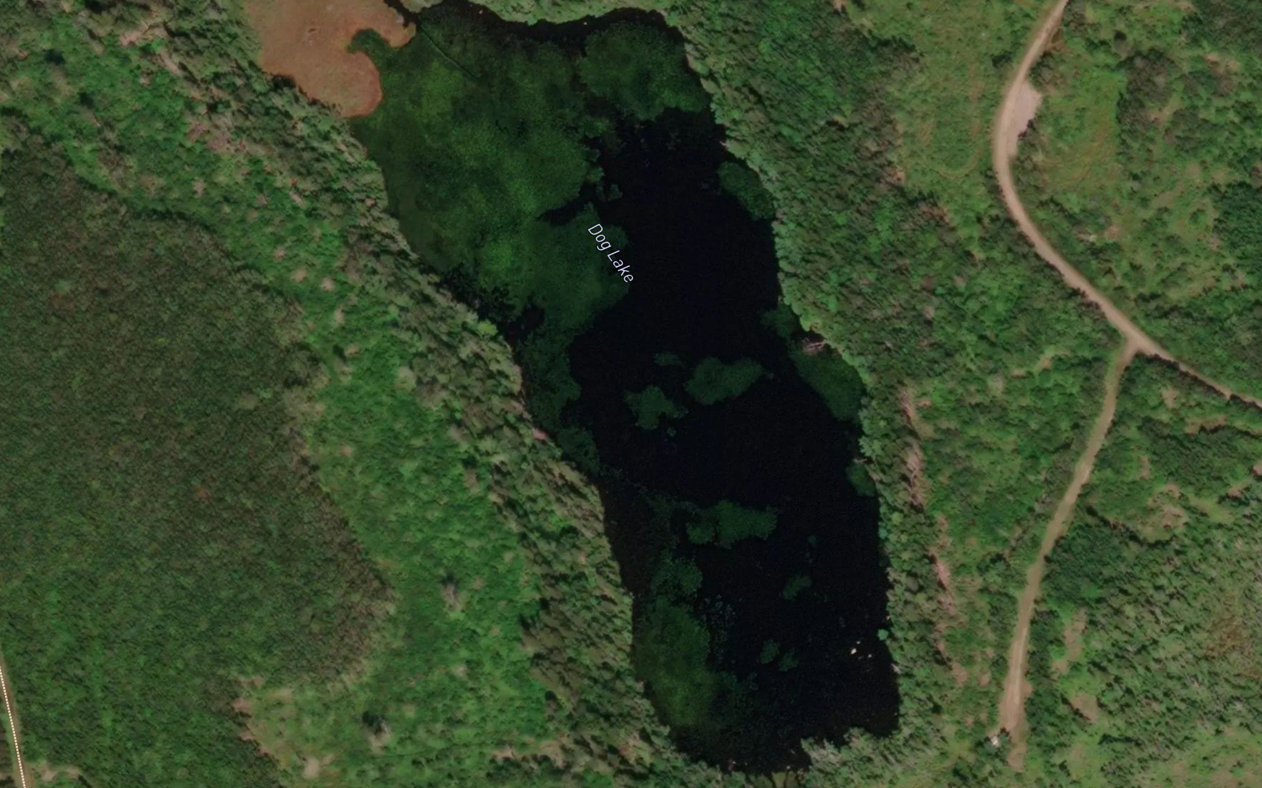 Dog Lake