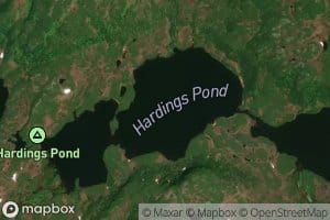 Hardings Pond