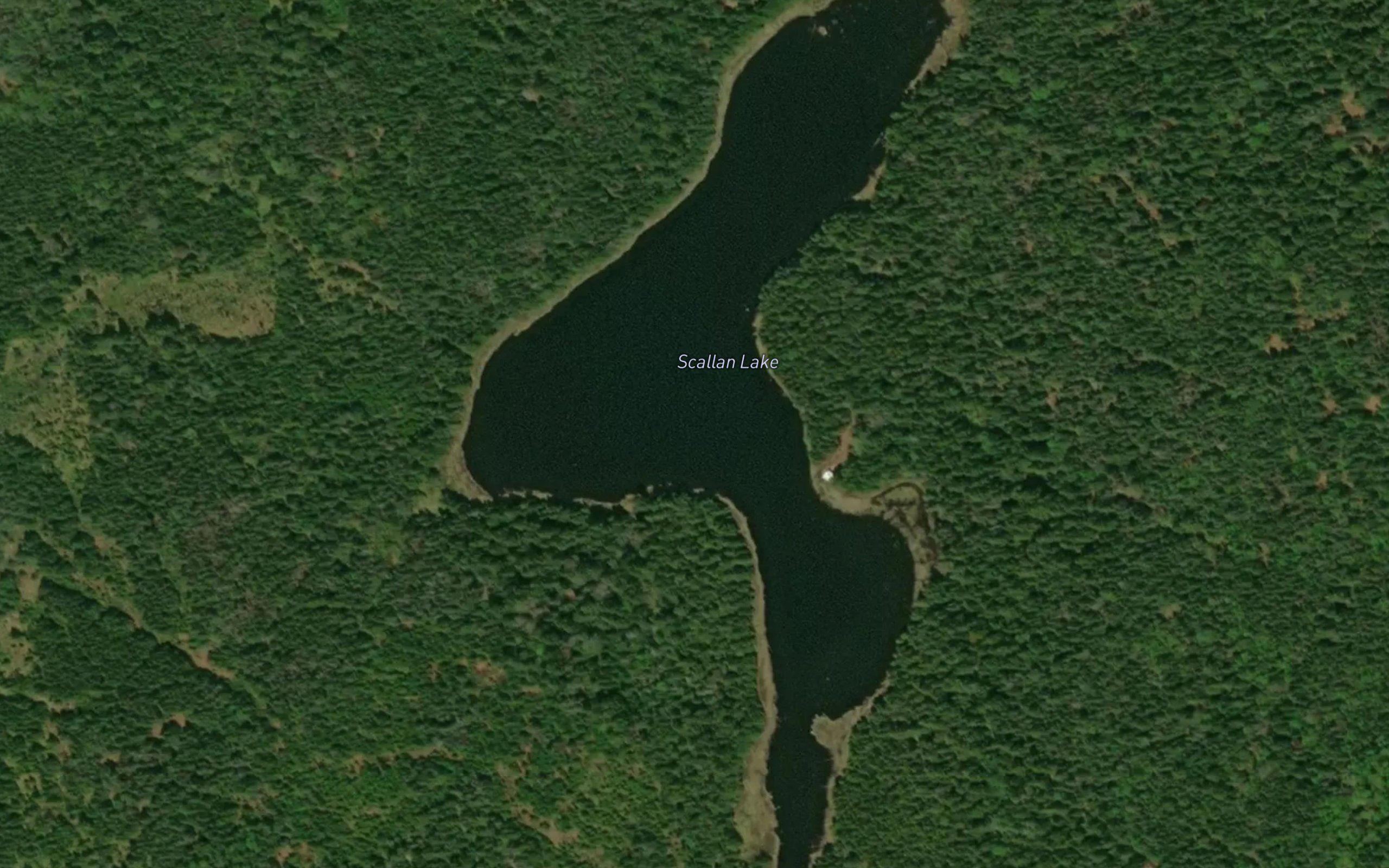 Scallan Lake